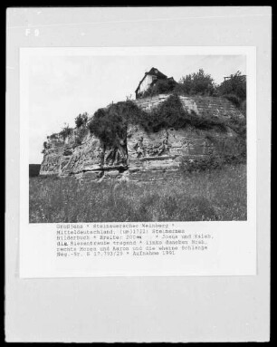 Steinernes Bilderbuch — Josua und Kaleb, eine Riesentraube tragend