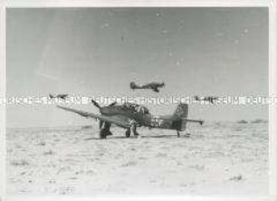 Deutsche Stukas im Landeanflug, im Vordergrund eine bereits gelandete Stuka.