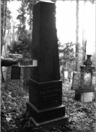 Grabstein 160 (neu: 735)