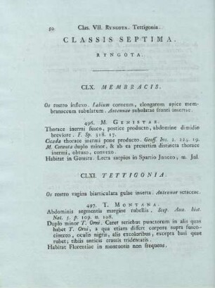 CLASSIS SEPTIMA RYNGOTA