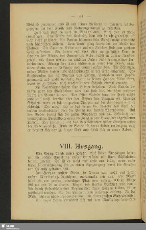 VIII. Ausgang