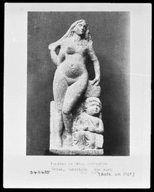 Venus