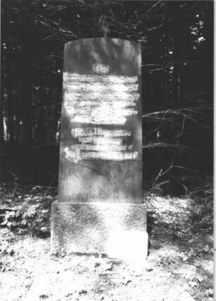 Grabstein 344 (Index: 99895737) Material: Granit Zustand: gut Maße HxBxT: 148x55x19 cm Beschreibung: Stele mit Segmentbogenabschluss; Sockel: Grabstein 344 (1)