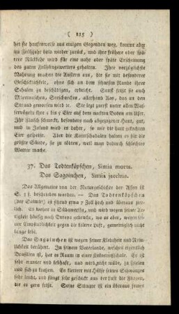 37. Das Todtenköpfchen, Simia morta. Das Sagoinchen, Simia jacchus.