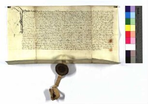 Schuldbrief des Michel Rauch und seiner Frau Margarete zu Mergentheim