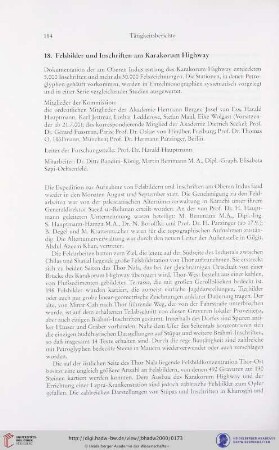 18. Felsbilder und Inschriften am Karakorum Highway