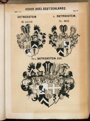 Taf. 81. Dietrichstein 16. Jahrhdt. - v. Dietrichstein, Fhr: 1618. - Fhr. v. Dietrichstein. 1514.