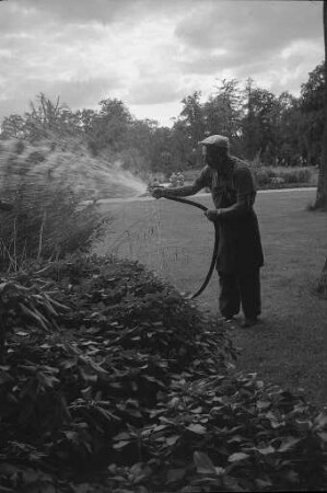 Pflege der Grünanlagen im Karlsruher Schlossgarten während der Trockenperiode im Sommer 1971
