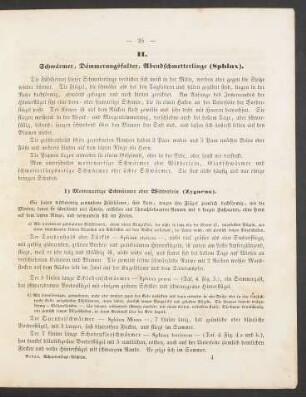 II. Schwärmer, Dämmerungsfalter, Abendschmetterlinge (Sphinx).