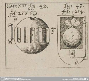 Cap: XIII fig: 42. fol: 253. fig: 43. fol: 254.