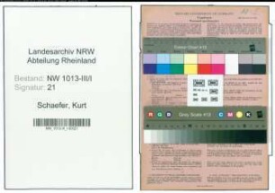 Entnazifizierung Kurt Schaefer , geb. 03.06.1909 (Ingenieur)