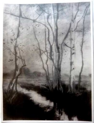 unbenannt [Landschaft mit Birken]