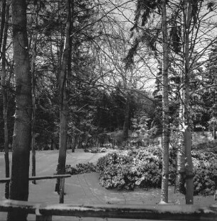 Bürgerpark: Grünanlage neben Hallenbad mit Resten des ehemaligen Naturtheaters: vorn Holzgeländer: dahinter Bäume und Sträucher: Winter