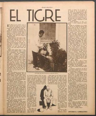 El tigre