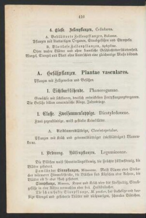A. Gefäßpflanzen. Plantae vasculares.