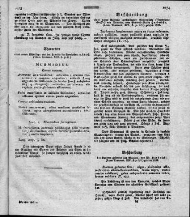 Beschreibung einer neuen Gattung geschwänzter Fledermäuse (Taphosous Geoffr.) von Calcutta (Linn. Transact. XIV. 3. p. 525)