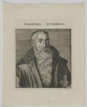 Bildnis des Joannes Stvrmivs