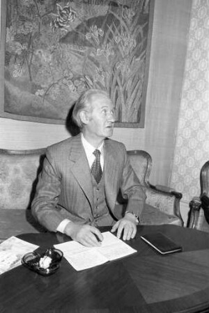 Stellvertretender Chefredakteur der "Badischen Neuesten Nachrichten" Josef Werner