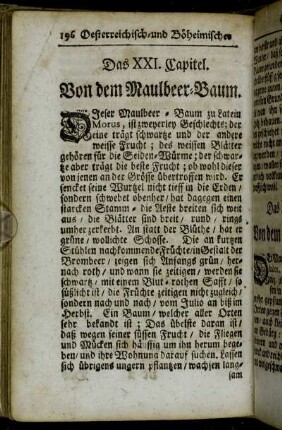 Das XXI. Capitel. Von dem Maulbeer-Baum