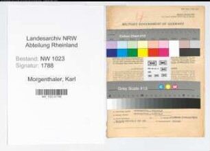 Entnazifizierung Karl Morgenthaler , geb. 12.01.1904 (Vorstandsmitglied)