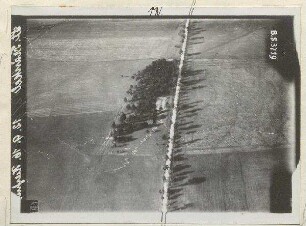 Waldstück mit Schützengräben an der Straße Neufreimann-Oberschleißheim (700 m)