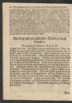 Am drey und zwantzigsten Sonntag nach Pfingsten / Evangelium Matth. 9. Cap. v. 18.