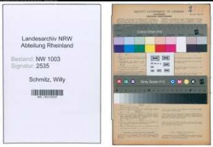 Entnazifizierung Willy Schmitz , geb. 01.11.1912 (Malermeister)