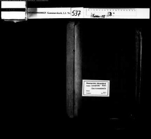 Einwirkung auf die Regelung des Eisenbahnverkehrs (Fahrpläne)