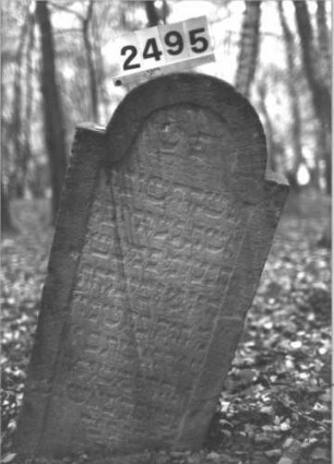 Grabstein 2495