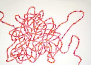 SEEDS 3