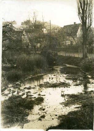 Am Dorfbach in Gnandstein : Gnandstein. Blick über den Dorfbach gegen Wohnhäuser