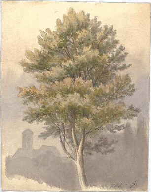 Neureuther, Lorenz; Landschaftskizzen - Baum mit Haus im Hintergrund (Ansicht)