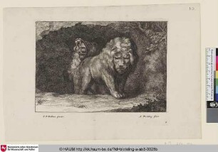 [Zwei Löwen, aus einer Höhle kommend]