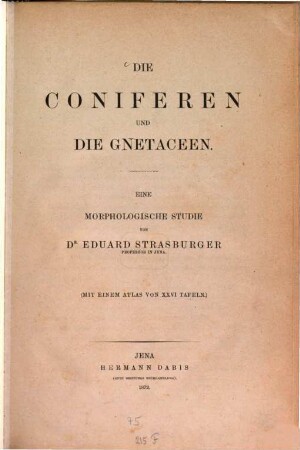 Die Coniferen und die Gnetaceen : eine morphologische Studie. [1], [Textband]