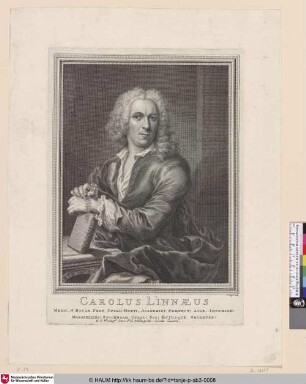 [Charles Linné]