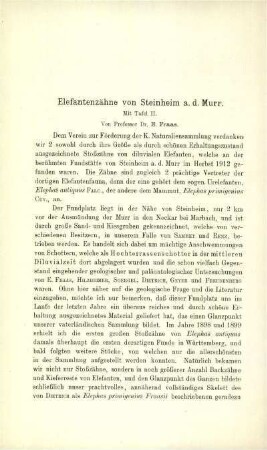 Elefantenzähne von Steinheim a. d. Murr