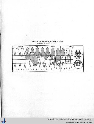 Facsimile of Behaim's Globe
