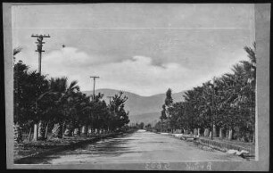 San Antonio Ave., Pomona, Cal.