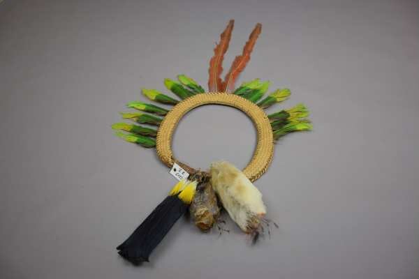 Feather head hoop with tucan tail back decoration