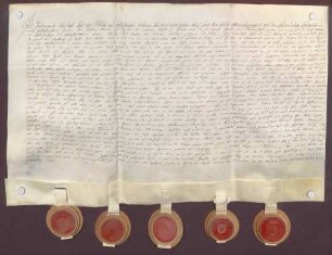 Instrumentum cautionis des Ferdinand Christoph Karl Schütz von Holzhausen.