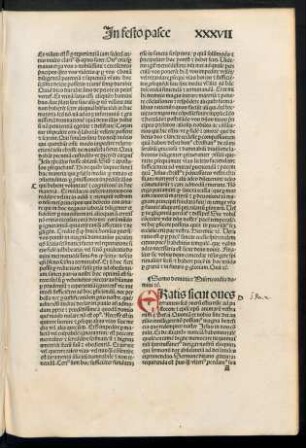 Sermo dominice Misericordia domini etc.
