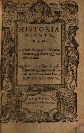 Historia Plantarvm : Earum Imagines, Nomenclaturae & Qualitates, et Natale Solum. Quibus accessere Simplicium Medicamentoru[m] facultates, secundum Locos & genera, ex Dioscoride