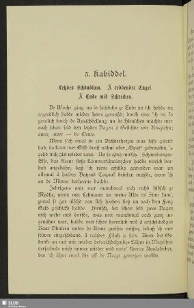 5. Kabiddel. Letzdes Schdudium. Ä reddender Engel. Ä Ende mid Schrecken