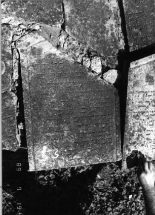 Grabstein 53 (Index: 99796373) Material: Sandstein Zustand: leicht verwittert Maße HxBxT: 0x0x0 cm Beschreibung: Stele, Segmentbogenabschluß: Grabstein 53