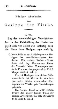 Fünfter Abschnitt. Vom Gerippe der Fische.