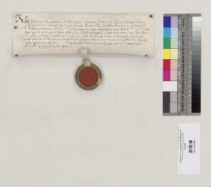 Albert, Bischof von Regensburg, quittiert Abt Placidus von St. Emmeram über zehn Pfund Regensburger Pfennige für die dem Bischof von Regensburg auf päpstliche Weisung jährlich geschuldeten 30 Pfund kleiner Turnosen (Turonensium parvorum). S=A