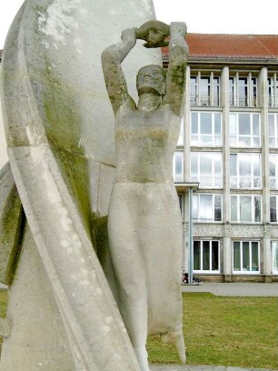Flugwille des Menschen