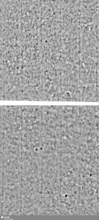 Lilienschild + IESV / LW = Bd.1,S.25/26+33/34