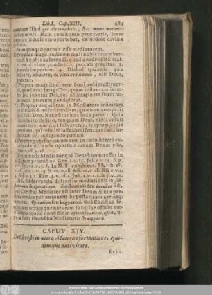 Caput XIV. De Chisti in utero Materno formatione, eiusdemque nativitate.