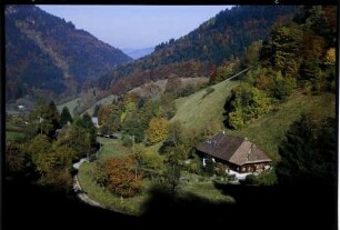 Belchen: Belchenhäuser, Schwarzwaldhaus im herbstlichen Tal